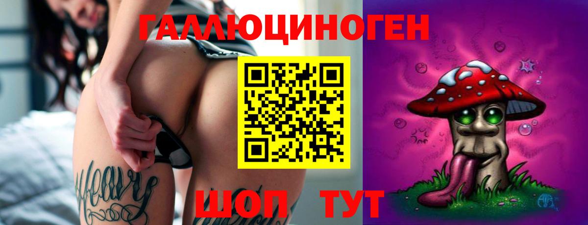 Псилоцибиновые грибы Psilocybe Реж